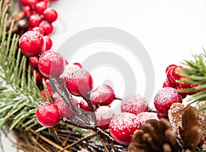 Red berries decoration with pine cones and white blank space