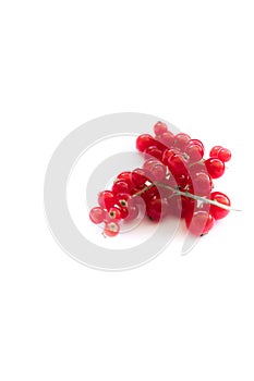 Red berries isolate in white