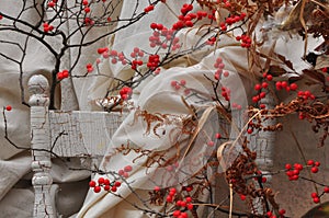 Red berries and old chair.