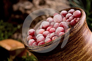 Red berries of ripe cranberries in a clay pot on a moss cover, at forest floor