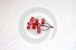 Red berries on a snowy background.