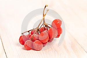 Red berries of viburnum or rowan covered with hoarfrost on wood table. Branch of red viburnum opulus