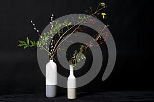 Red berries and willow twig in vase.