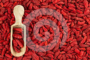 Red Berry Goji Dried Berries Background