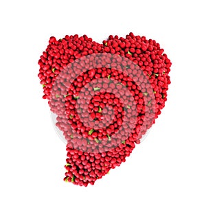 Red berry Heart