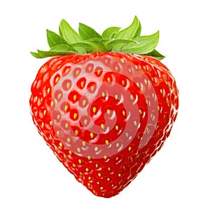 Red berry strawberry photo