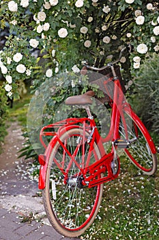 Red bicycle