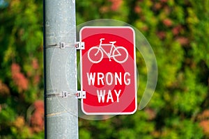 Red bicycle wrong way sign on street pole placed facing wrong-way bicycle traffic