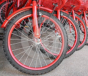 the red bicycles parked in the city