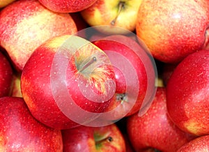Red big apples background