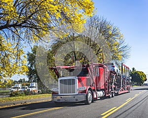 Red big rig car haul semi truck transporting car on semi trailer running on autumn road in sunny day