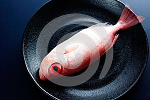 Red bigeye fish, food