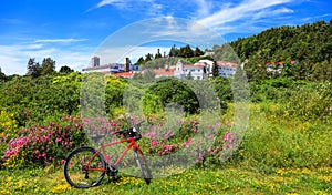 Red bike in front of wild flowers in Mackinac island, Michigan in summer time.