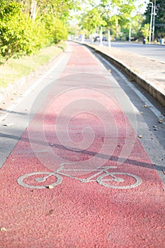 Red Bike lane asphalt texture with sunlight