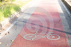 Red Bike lane asphalt texture with sunlight