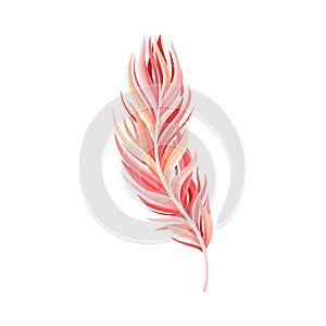 Red Bird Feather with Nib as Avian Plumage Vector Illustration