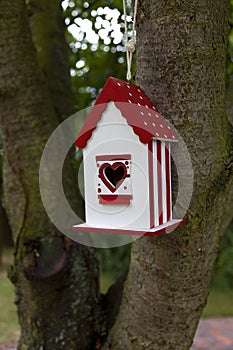 red bird house
