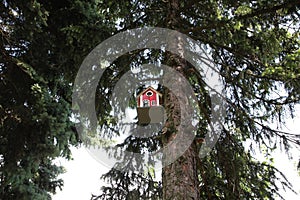 Red bird house