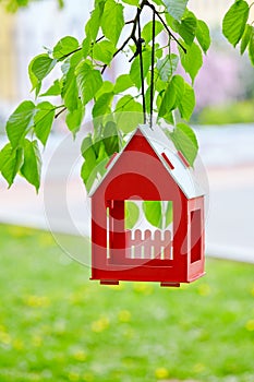 Red bird house hanging from the tree and surrounded by lush foliage