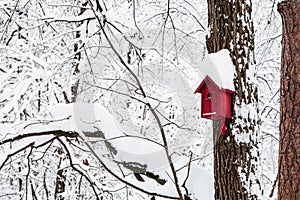 red bird house in winter forest