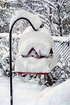 Red Bird House in a winter scene