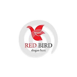 Red Bird logo template