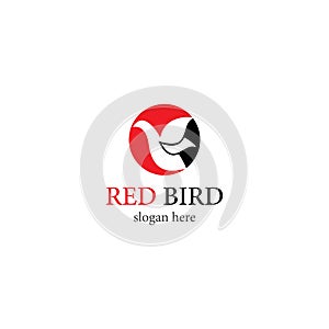 Red Bird logo template