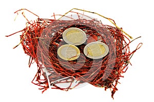 Red bird nest euro coins money concept white