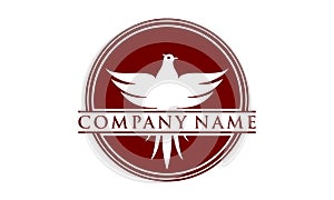 Red bird symbol logo design photo