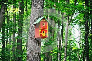 Red birdhouse on a tree