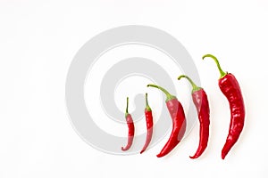 Red bitter chili pepper on white clean background for text