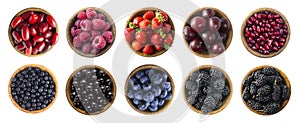 Red and black-blue food. Berries and fruits isolated on white background. Collage of different fruits and berries at green and red