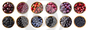 Red and black-blue food.  Raspberry, strawberry, currant, blueberry, plum, grape, pomegranate, mulberry, bilberry and blackberry.