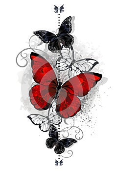 Red and black butterflies
