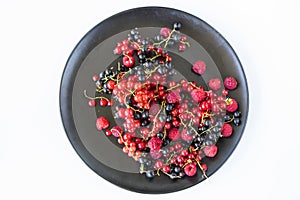 Red and black currant and loganberries on the white background. Colorful berries