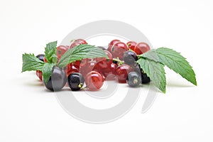 Red and black currant with mint leaves on white background