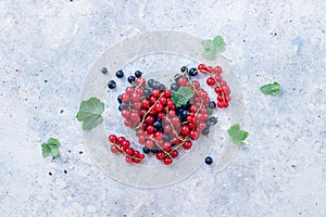 Red and black currants with leaves.