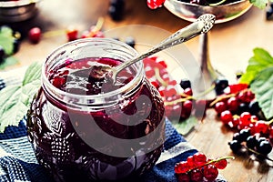 Red and black currants. red currant jam with fresh berry
