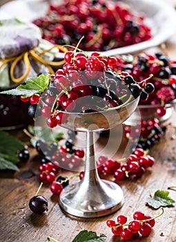 Red and black currants. red currant jam with fresh berry