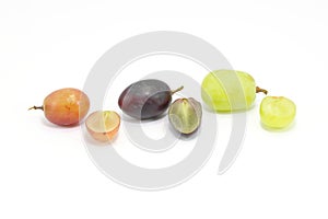 Red black green grape