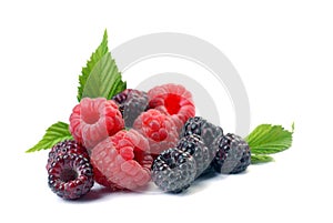 Red and black raspberry with leaves