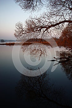 Red with black reflexion.