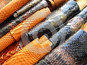 Red and black skin of a python  a snake.