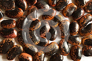 Red and black spotted beans close-up. The pattern of the haricot, background, texture. A healthy diet, a source of protein. Copy