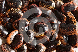 Red and black spotted beans close-up. The pattern of the haricot, background, texture. A healthy diet, a source of protein. Copy