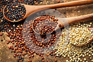 Red, black and white quinoa grains in a wooden spoon. Healthy food background. Seeds of white, red and black quinoa