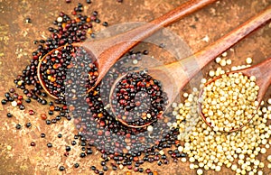 Red, black, white quinoa grains in a wooden spoon. Healthy food background. Seeds of white, red and black quinoa
