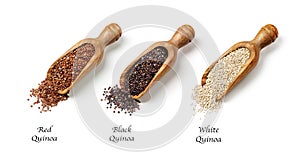 Red, black and white quinoa seeds photo