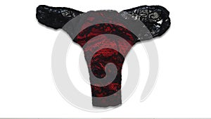 Red with black women's lace thong isolated on white background