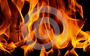 Red blaze Fire flame on a black background